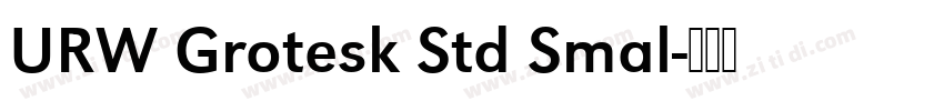 URW Grotesk Std Smal字体转换